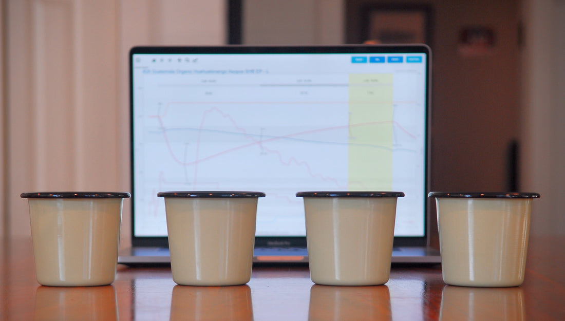 Developing our first roast - Chipset Coffee