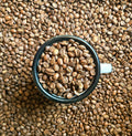 Guatemala - Medium Roast - Chipset Coffee